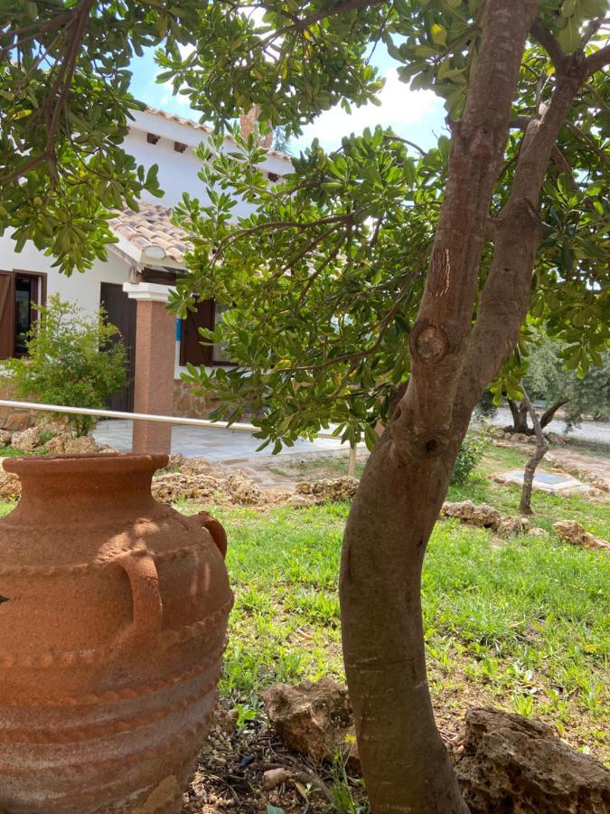 포조알콘 Complejo Rural Ibipozo 게스트하우스 외부 사진