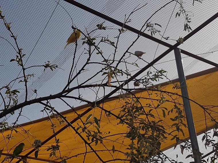 포조알콘 Complejo Rural Ibipozo 게스트하우스 외부 사진